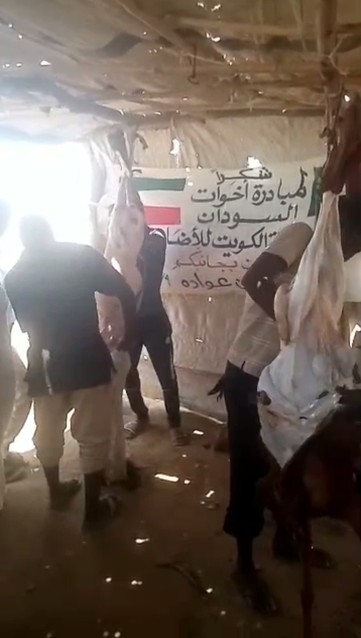 (اخوات السودان في الكويت) ينثرون الفرح في نهر النيل
